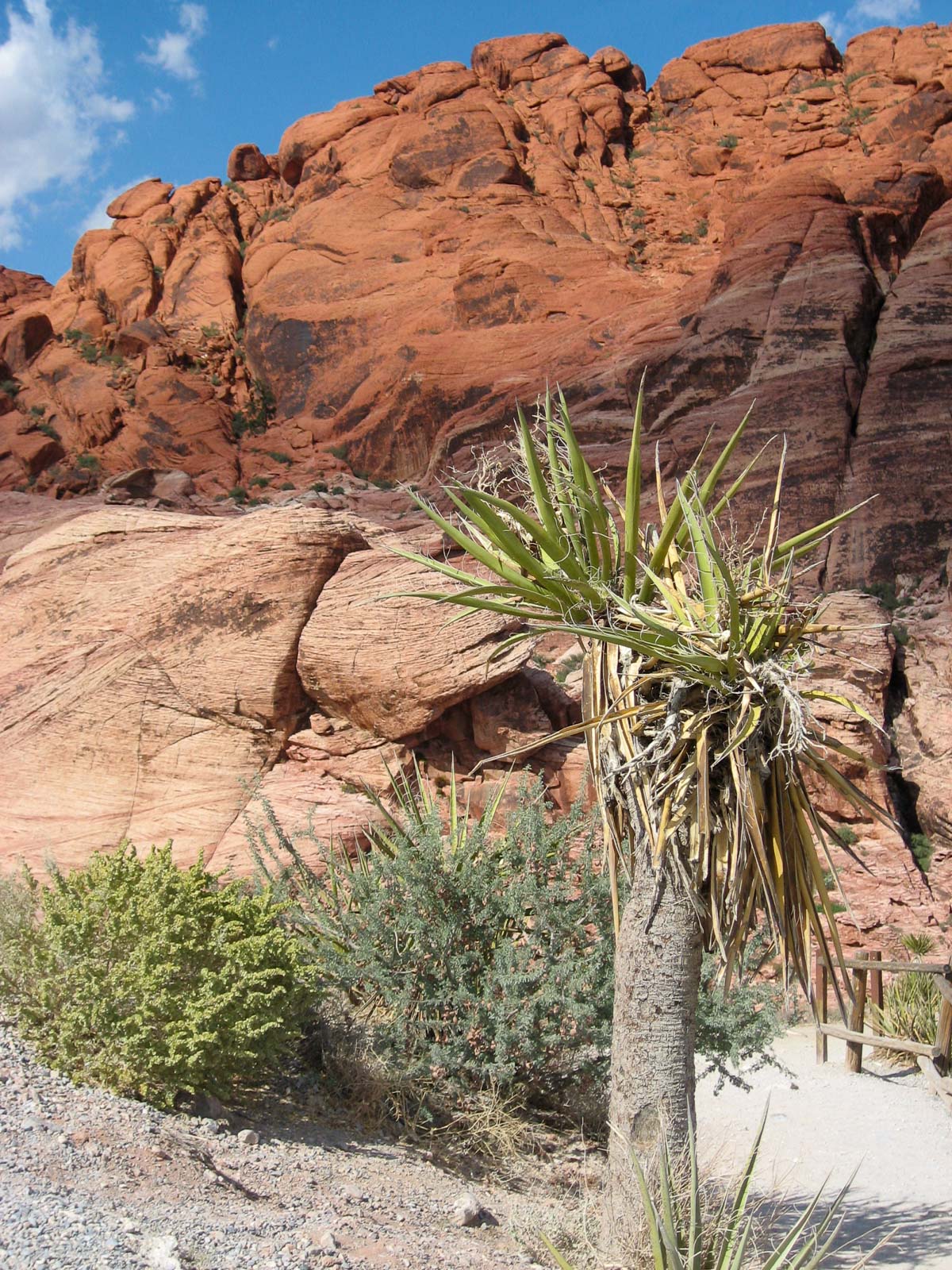 10 USA 2008 fabien et leslie 1365